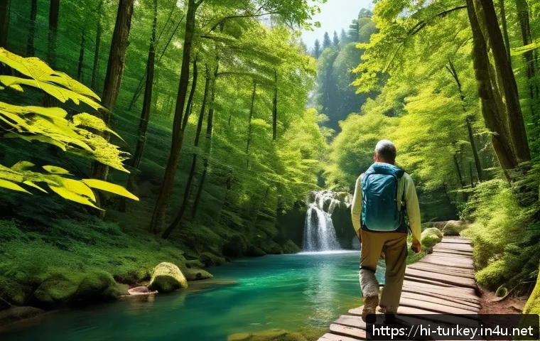 튀르키예 주요 자연 보호 구역 - A serene trekking scene in the lush green forests of Bolu, Turkey, featuring a peaceful trail surrou...